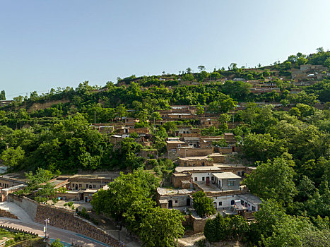 lo khung rong bach kim