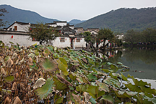 xổ số 3 miền