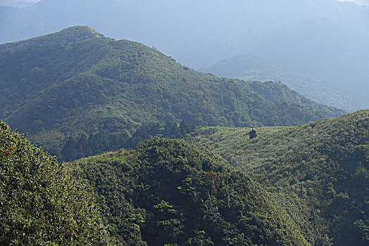 xổ số trà vinh tuần rồi