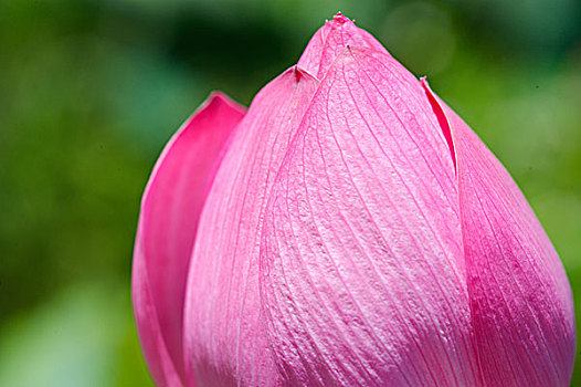 diễn đàn xsmb