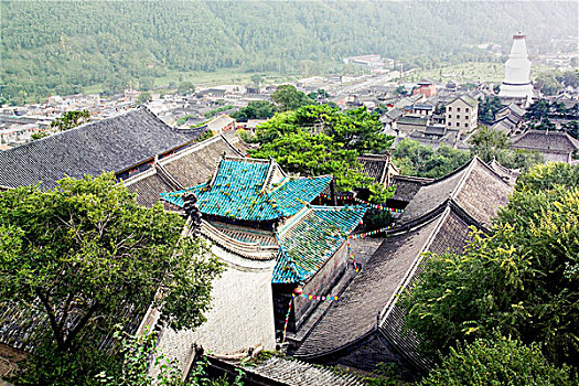 soi cau rong bach kim 2nhay