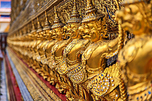 soi cau lo 888 mien phi