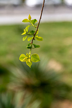 nhà cái lô đề