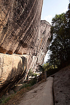 dự đoán đề hôm nay