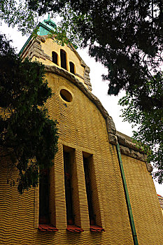 soi lo bach thu