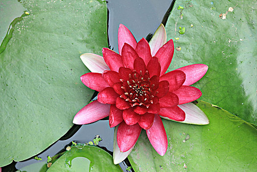 du doan xo so binh dinh