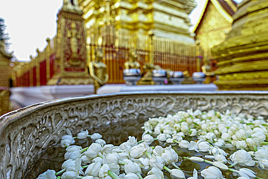 xổ số quảng ngãi hôm nay