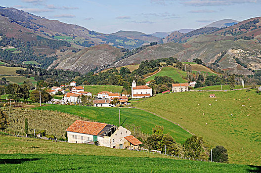 cau lo bach thu khung 3 ngay