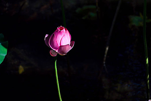 dự đoán xổ số miền nam wap