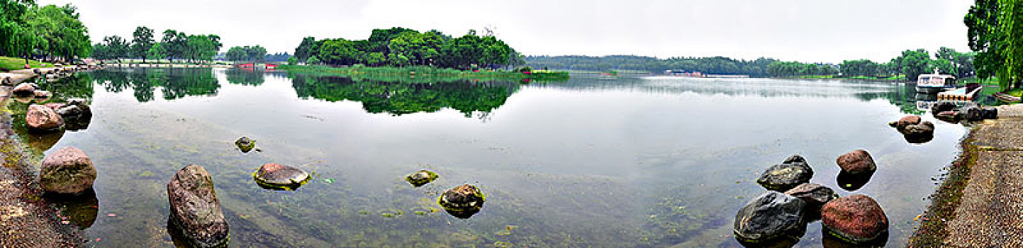 dự đoán bình định