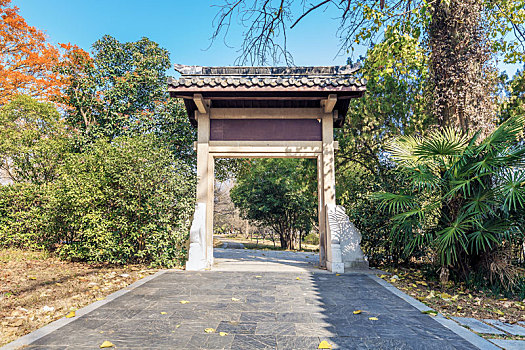 bạch thủ bình định