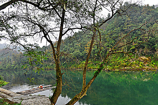 bạch thủ lo hôm nay
