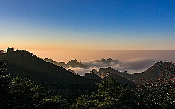 xs vung tau
